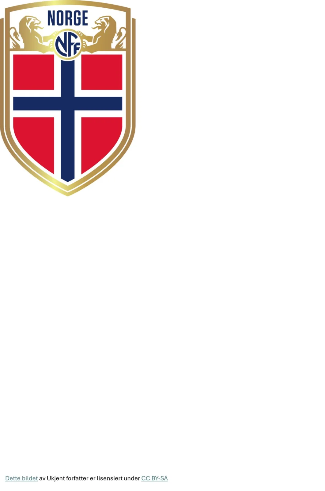 Salutt ved åpning av fotball VM